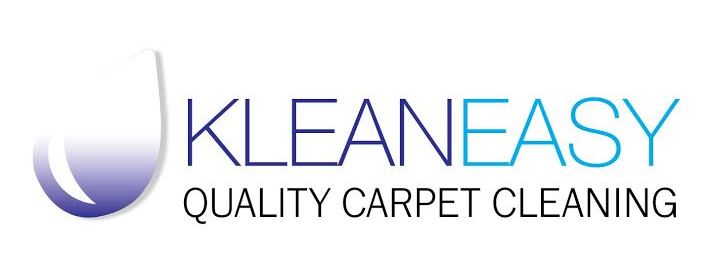 how to start a carpet cleaning business for under $1000